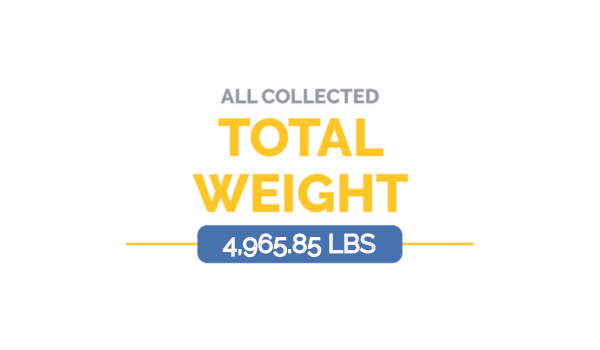 Total Collection